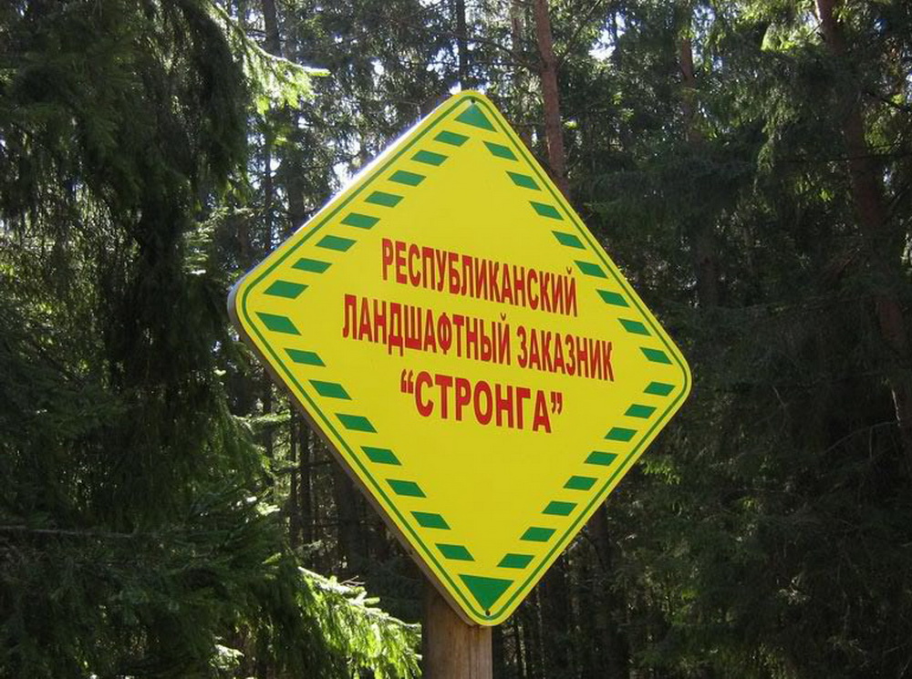 Общая площадь Pеспубликанского ландшафтного заказника «Стронга» составляет 12015 гектаров