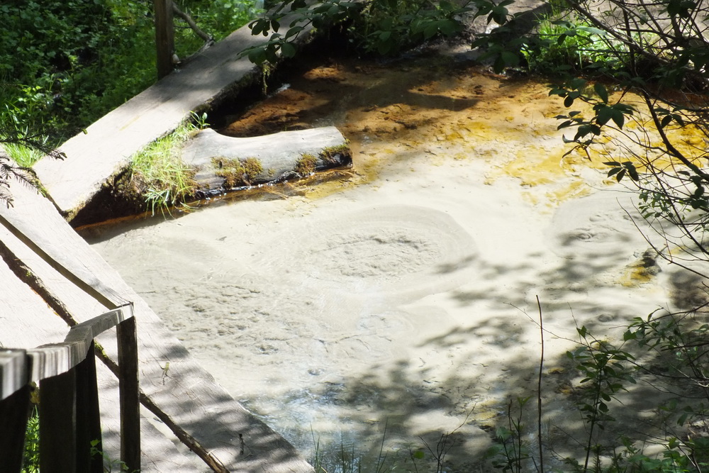 «Кипение» родника Ясинец видно невооруженным взглядом