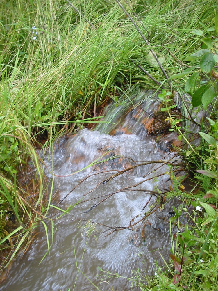 Устье эрозионной ложбины заканчивается в пределах поймы р. Сервечь